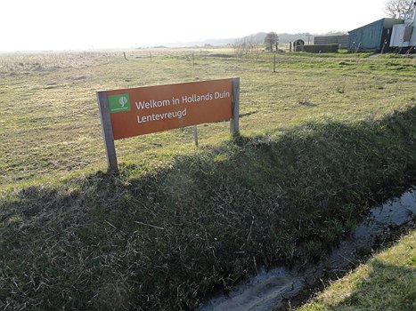 Lentevreugd